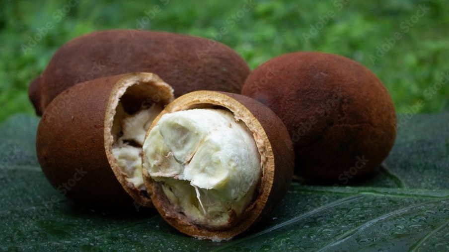 O cupuaçu é uma fonte de vitamina C e fibras, nutrientes essenciais para a saúde digestiva e imunológica (Foto: Freepik)