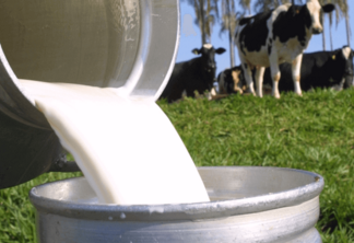 Brasil negociou apenas no 1° trimestre de 2024 mais de 6 bilhões de litros de leite cru
